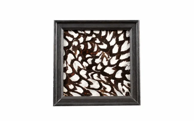 Tableau en plumes de faisan Vénéré noir& blanc, fabriqué artisanalement dans mon atelier