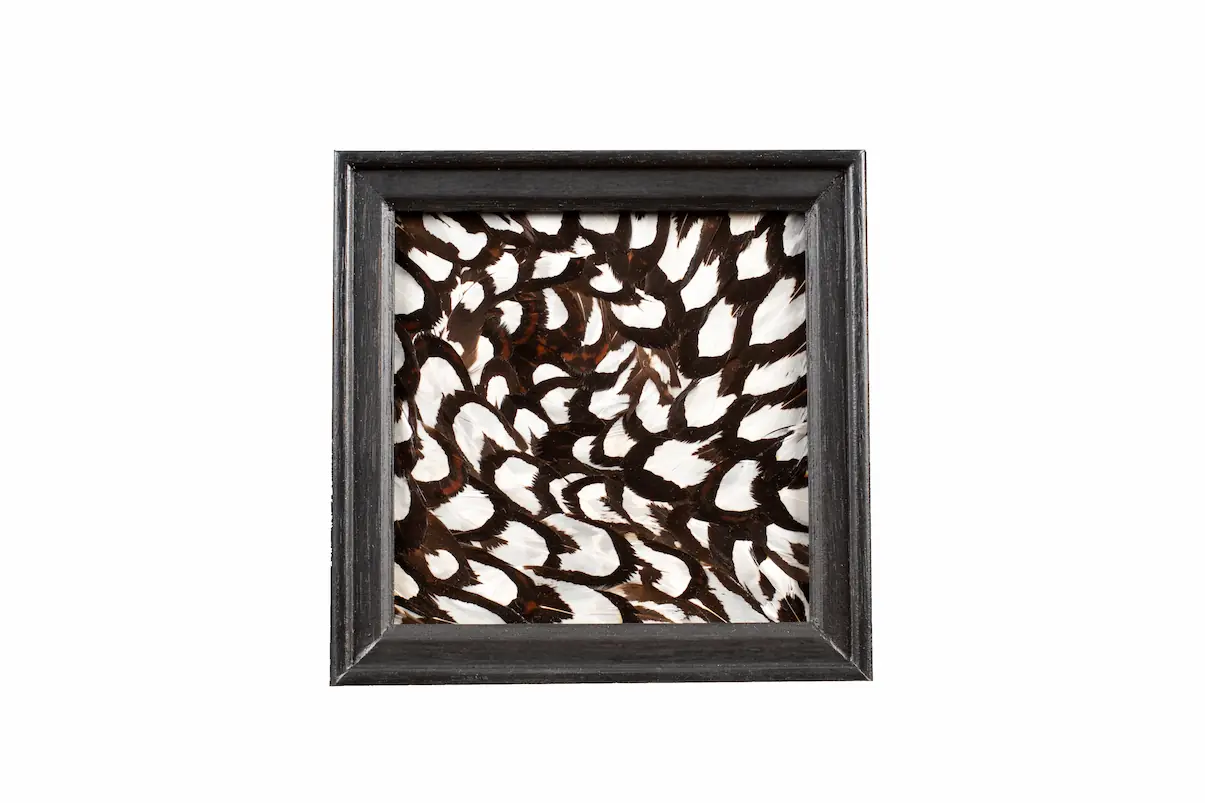 Tableau en plumes de faisan Vénéré noir& blanc, fabriqué artisanalement dans mon atelier