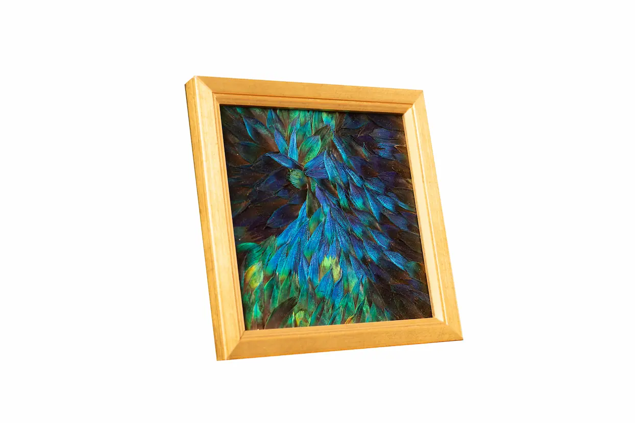 Tableau en plumes naturelles de PAON Bleu et Bleu/ Vert, fabriqué artisanalement dans mon atelier