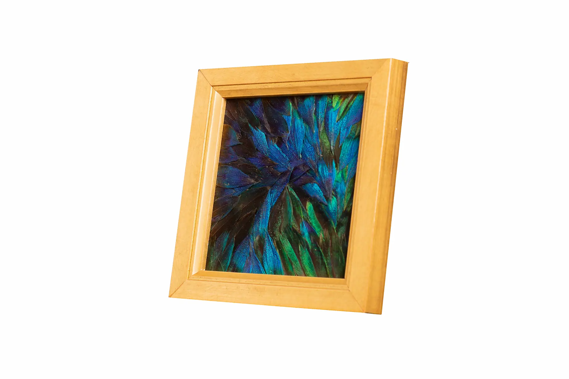 Tableau en plumes de PAON Bleu et Bleu-Vert, fabriqué artisanalement dans mon atelier