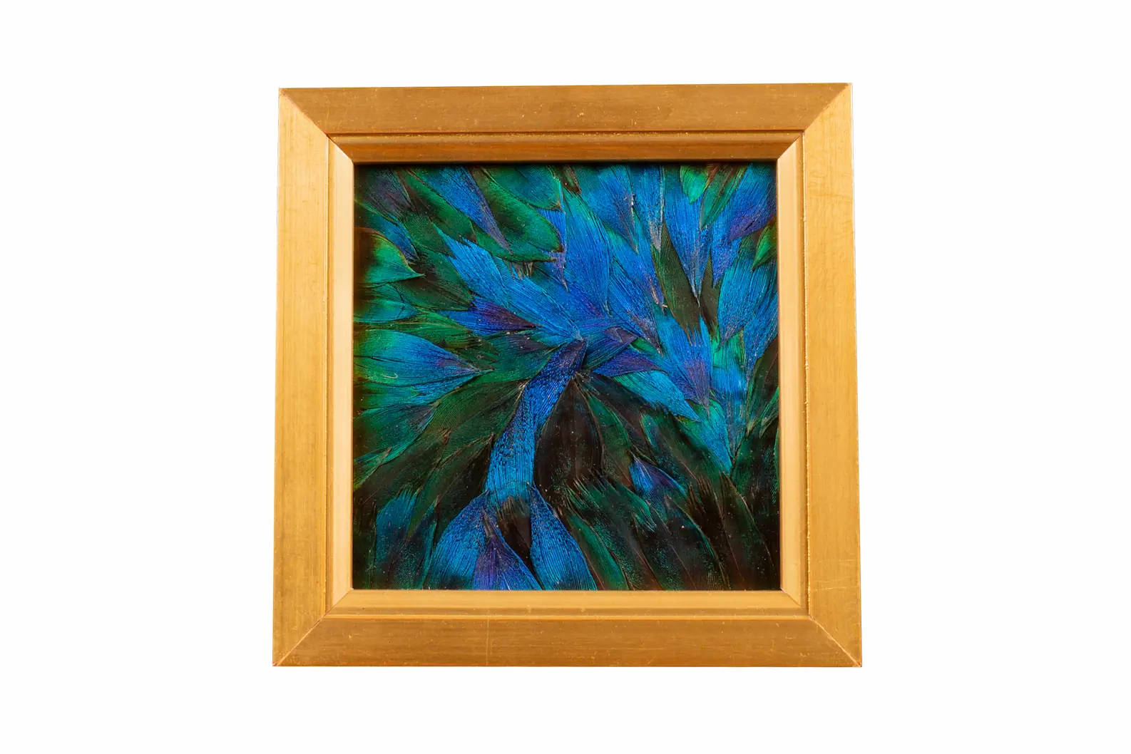 Tableau en plumes de PAON Bleu et Bleu-Vert, fabriqué artisanalement dans mon atelier