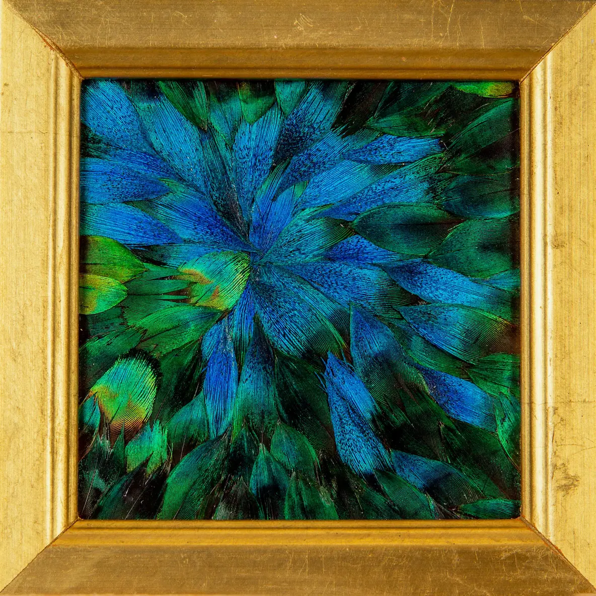Tableau en plumes de PAON Bleu et Bleu-Vert, fabriqué artisanalement dans mon atelier