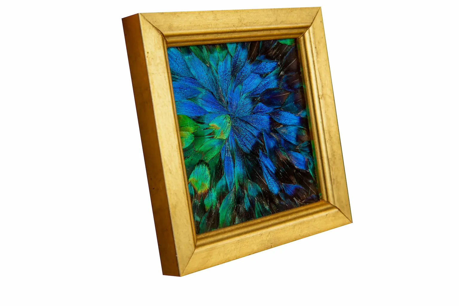 Tableau en plumes de PAON Bleu et Bleu-Vert, fabriqué artisanalement dans mon atelier