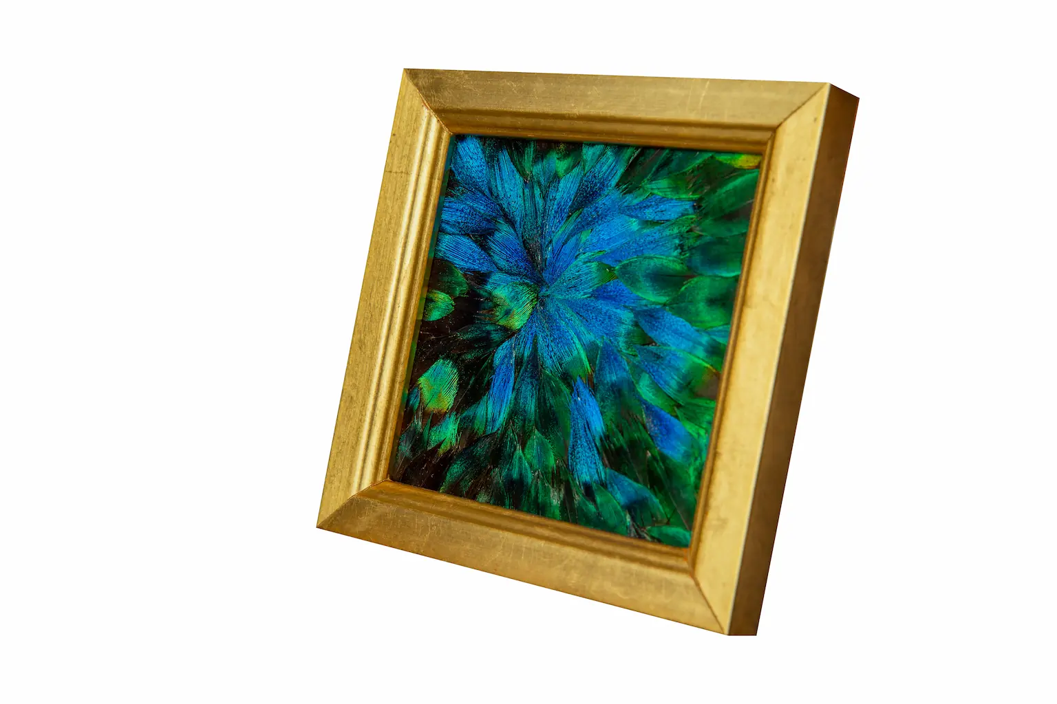 Tableau en plumes de PAON Bleu et Bleu-Vert, fabriqué artisanalement dans mon atelier