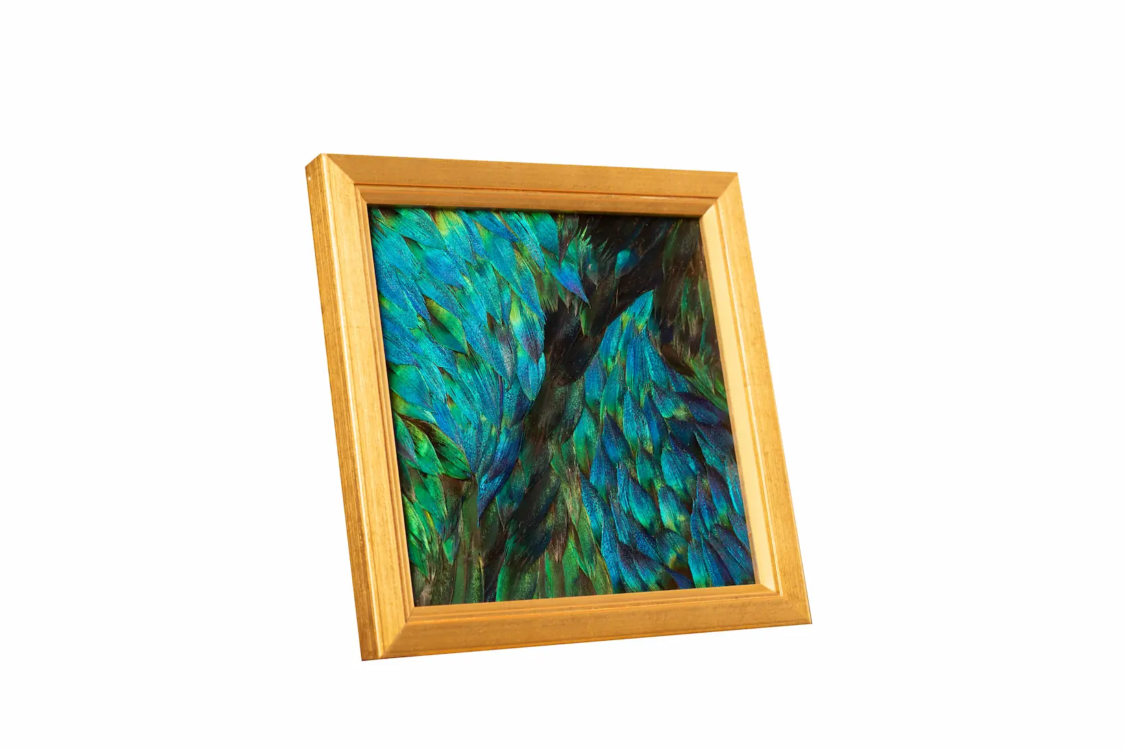 Tableau en plumes de PAON Bleu et Bleu/ Vert, fabriqué artisanalement dans mon atelier