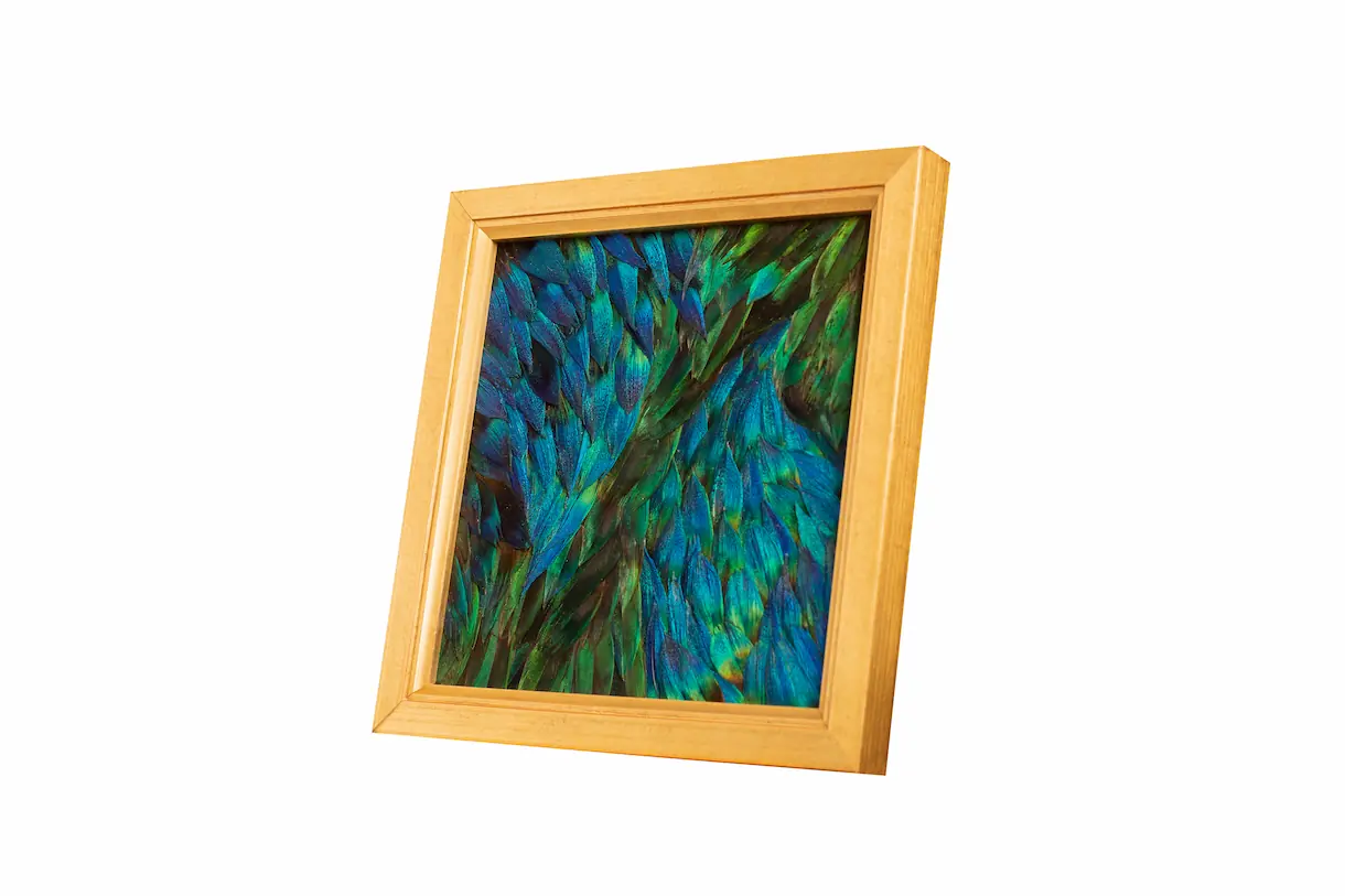 Tableau en plumes de PAON Bleu et Bleu/ Vert, fabriqué artisanalement dans mon atelier