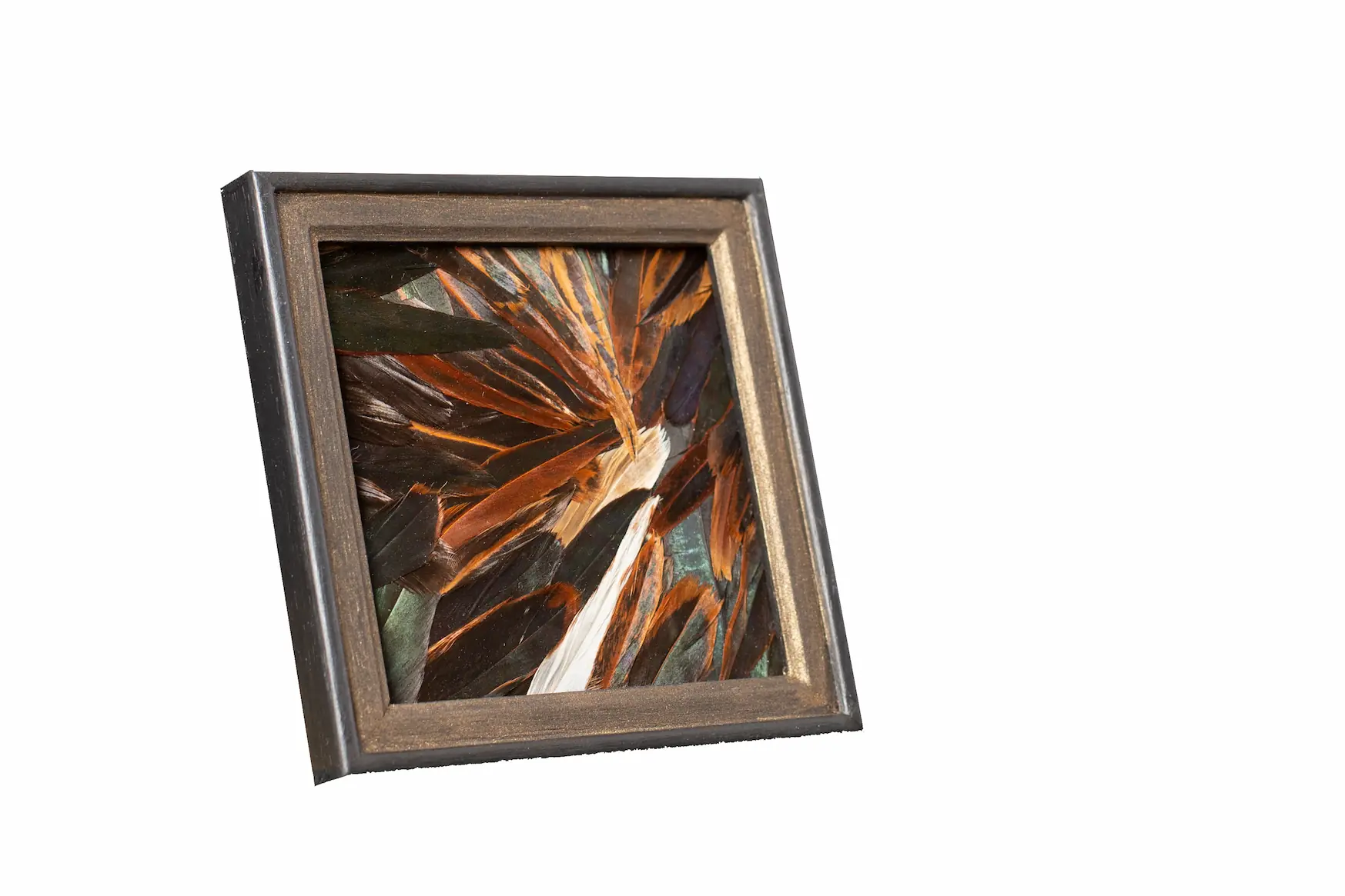 Tableau en plumes de queue de COQ bronze, fabriqué artisanalement dans mon atelier