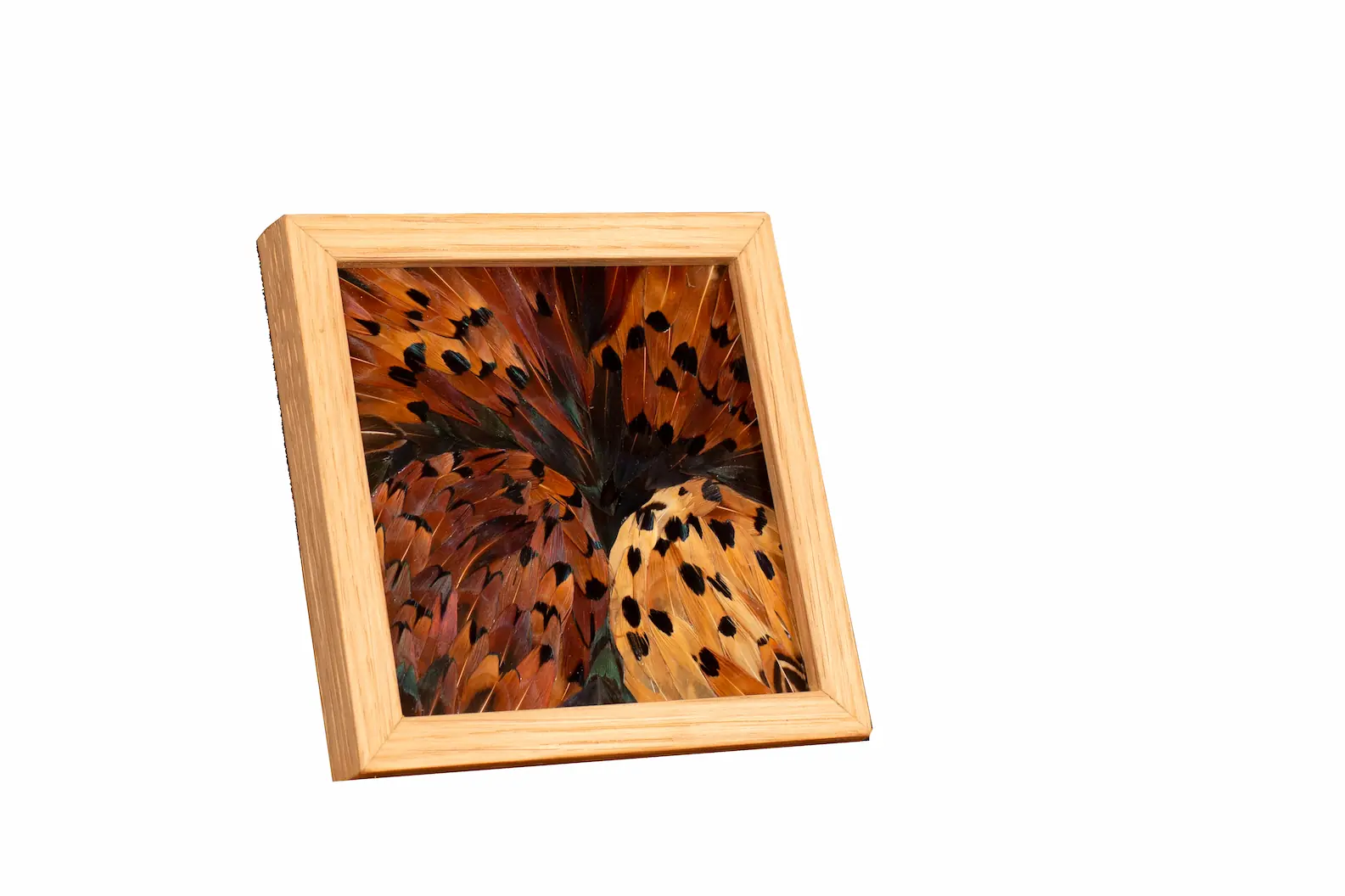 Tableau en plumes de faisan COLCHIDE, fabriqué artisanalement dans mon atelier