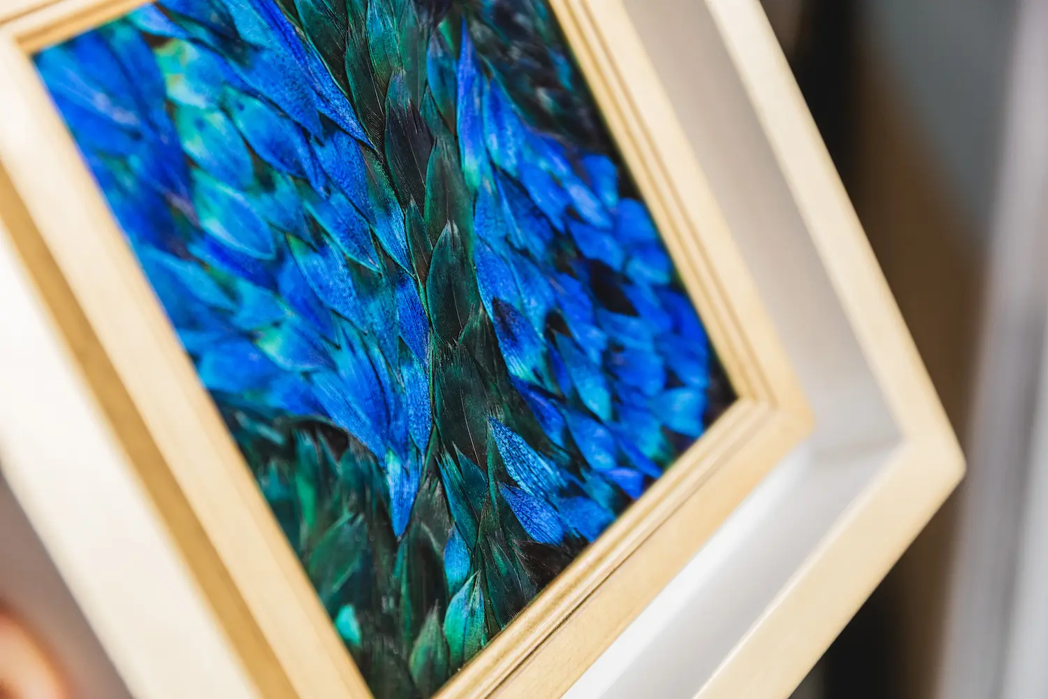 Tableau Équilibre en plumes naturelles de PAON Bleu et Bleu/ Vert en détails