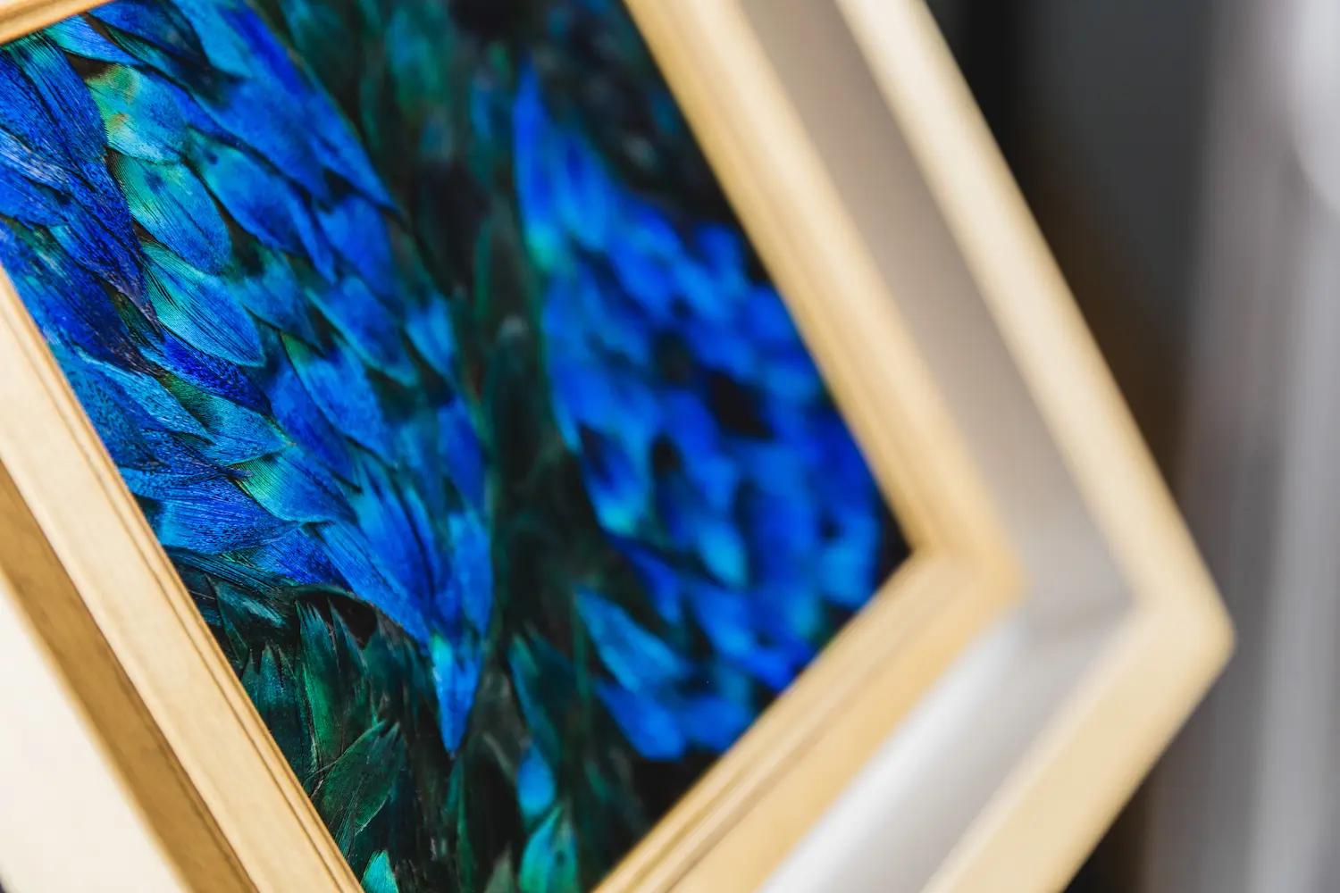 Tableau Équilibre en plumes naturelles de PAON Bleu et Bleu/ Vert en détails