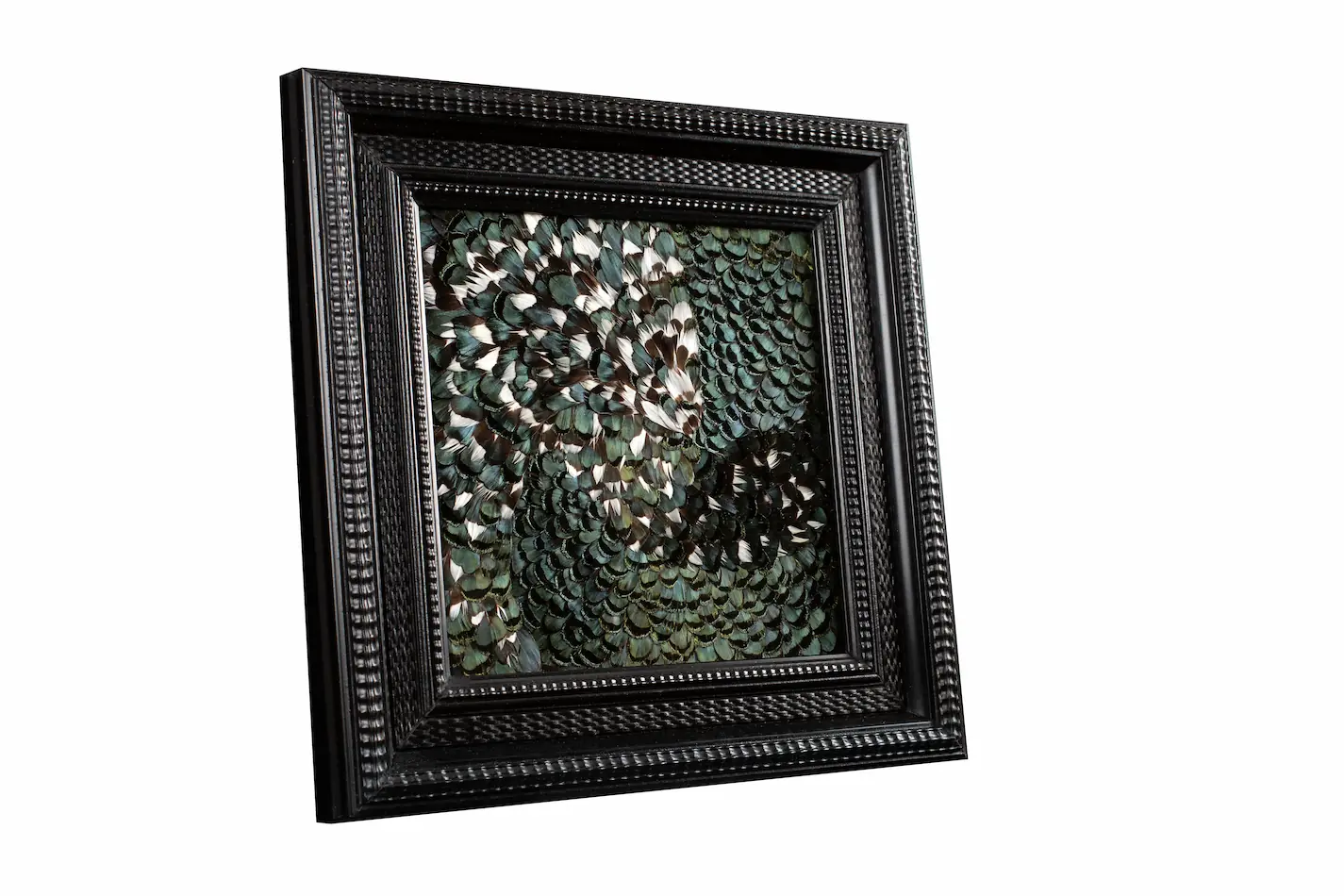 Tableau en plumes de faisan LADY AMHERST vert et vert blanc, fabriqué artisanalement dans mon atelier