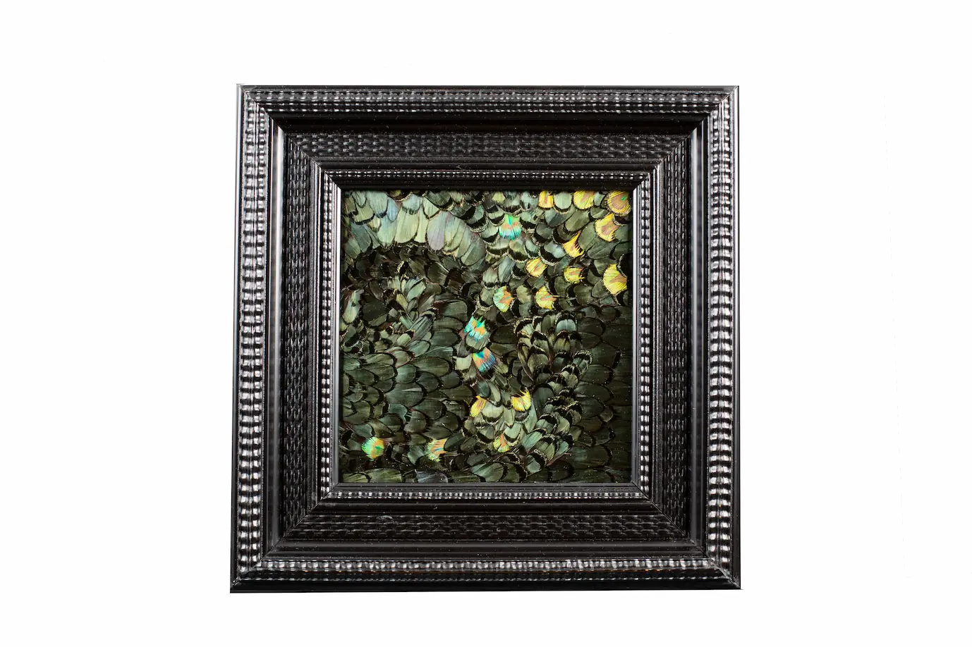 Tableau en plumes de faisan LADY AMHERST vert et PAON vert, fabriqué artisanalement dans mon atelier