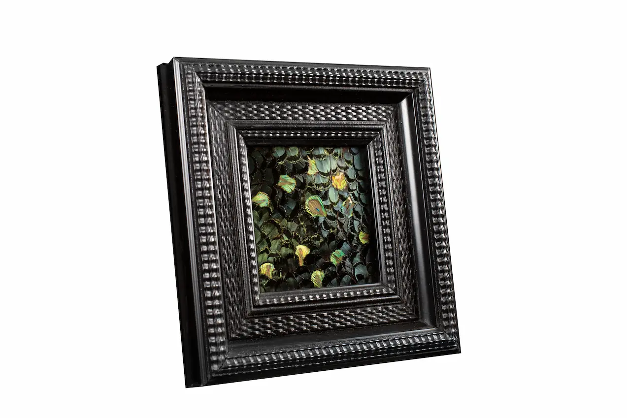 Tableau en plumes de faisan LADY AMHERST vert et PAON vert, fabriqué artisanalement dans mon atelier