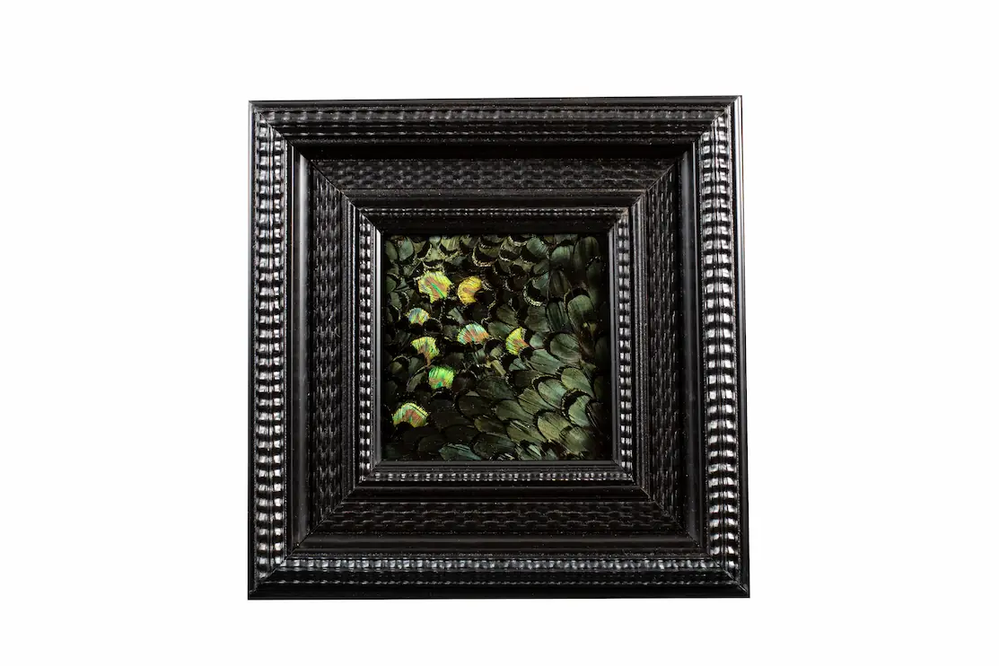 Tableau en plumes de faisan LADY AMHERST vert et PAON vert, fabriqué artisanalement dans mon atelier