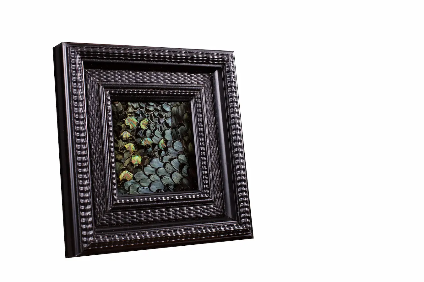 Tableau en plumes de faisan LADY AMHERST vert et PAON vert, fabriqué artisanalement dans mon atelier