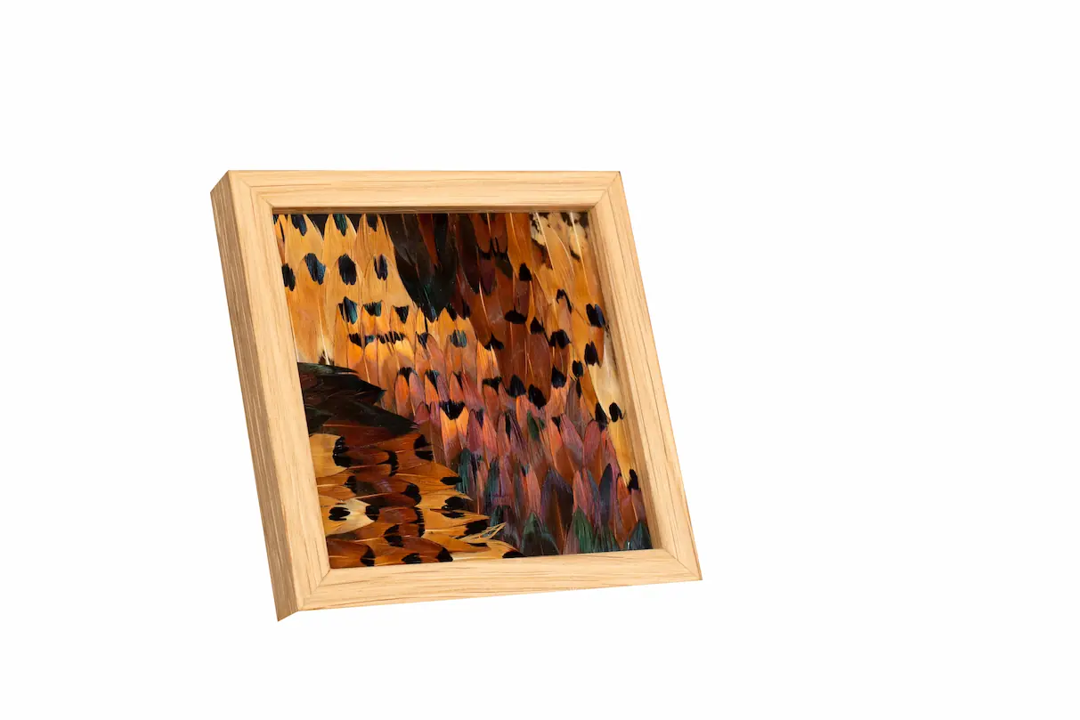 Tableau en plumes de faisan COLCHIDE, fabriqué artisanalement dans mon atelier