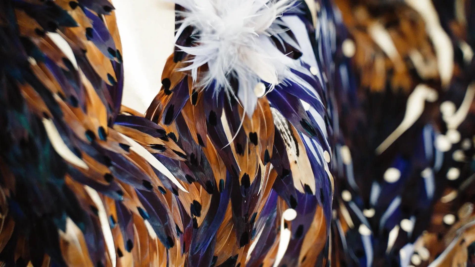 Une oeuvre magistrale composée de plumes de faisant Colchide naturelles et teintées, des feuilles d'or et des plumes d'oie teintées.