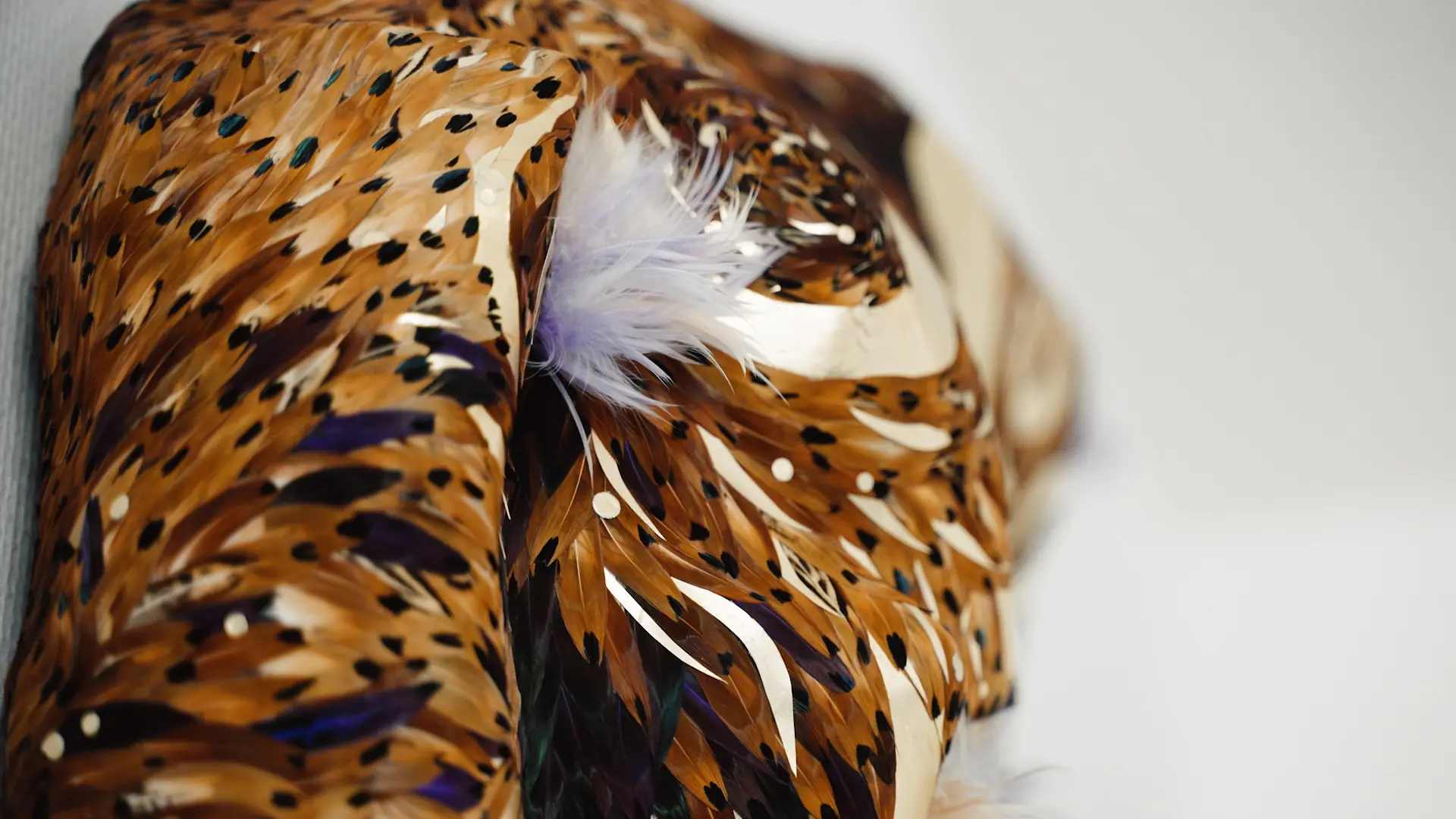 Une oeuvre magistrale composée de plumes de faisant Colchide naturelles et teintées, des feuilles d'or et des plumes d'oie teintées.