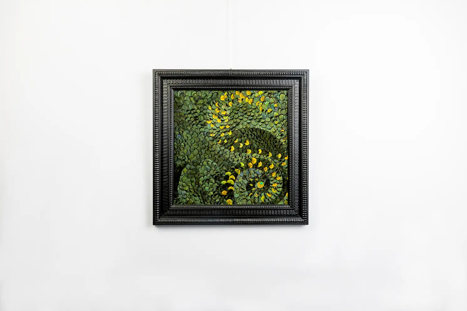 Tableau Serpent en plumes de faisan LADY AMHERST vert et PAON vert