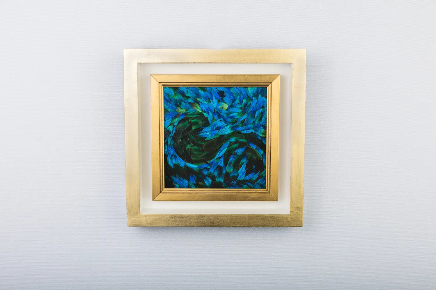 Tableau Cosmos en plumes naturelles de PAON Bleu et Bleu/ Vert