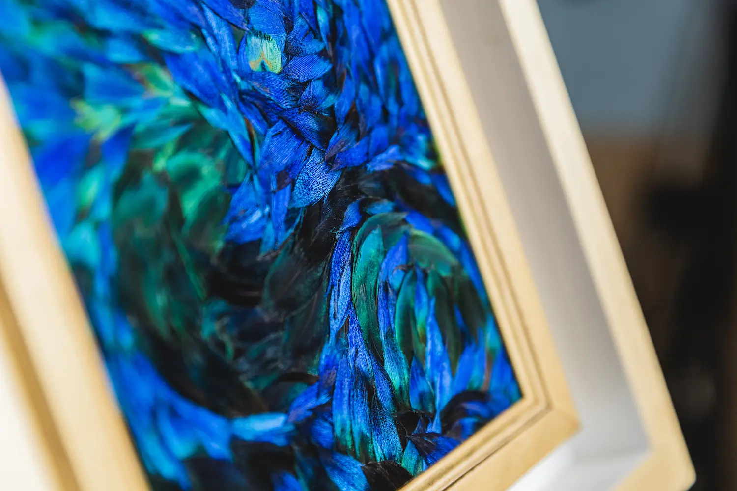 Tableau Cosmos en plumes naturelles de PAON Bleu et Bleu/ Vert