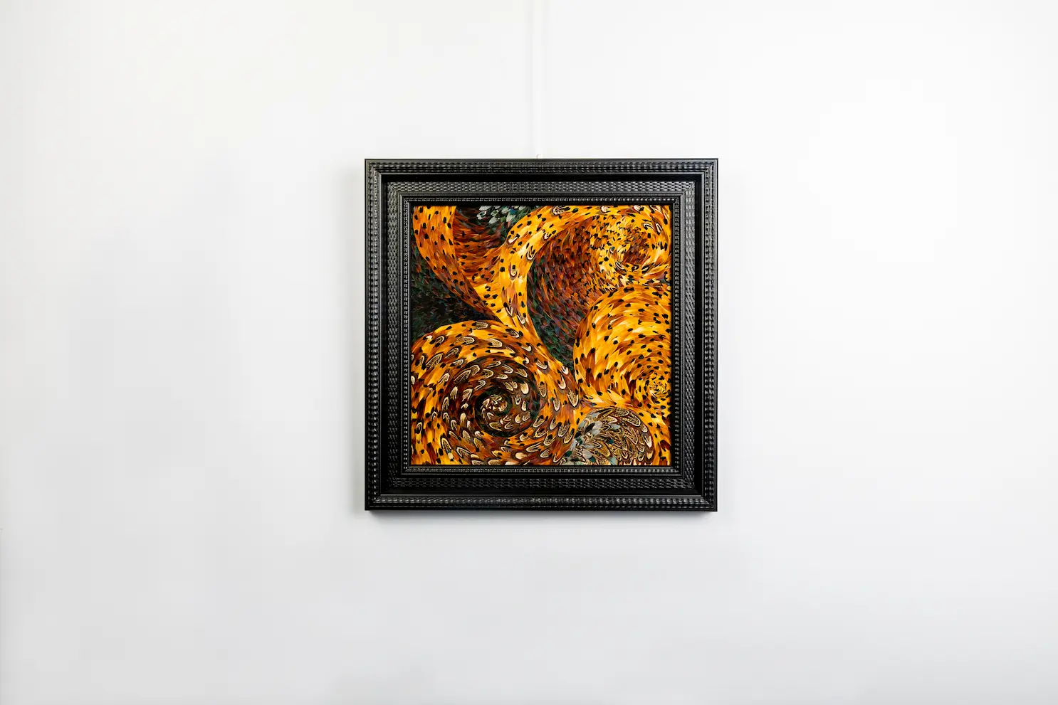 Tableau en plume l'éclat en plumes de faisan COLCHIDE marron et à motifs