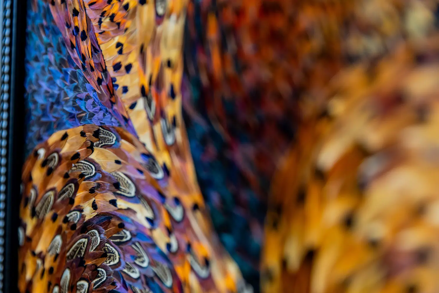 Tableau en plume l'éclat en plumes de faisan COLCHIDE marron et à motifs