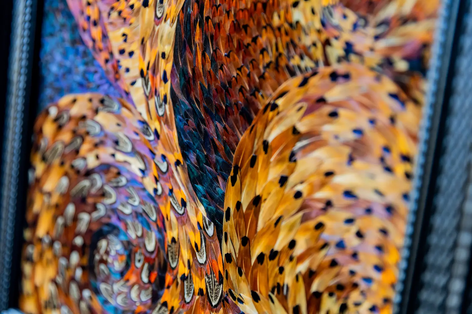 Tableau en plume l'éclat en plumes de faisan COLCHIDE marron et à motifs