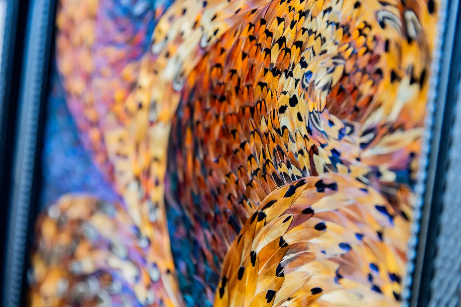 Feather framing featuring brown COLCHIS pheasant feathers with patterns