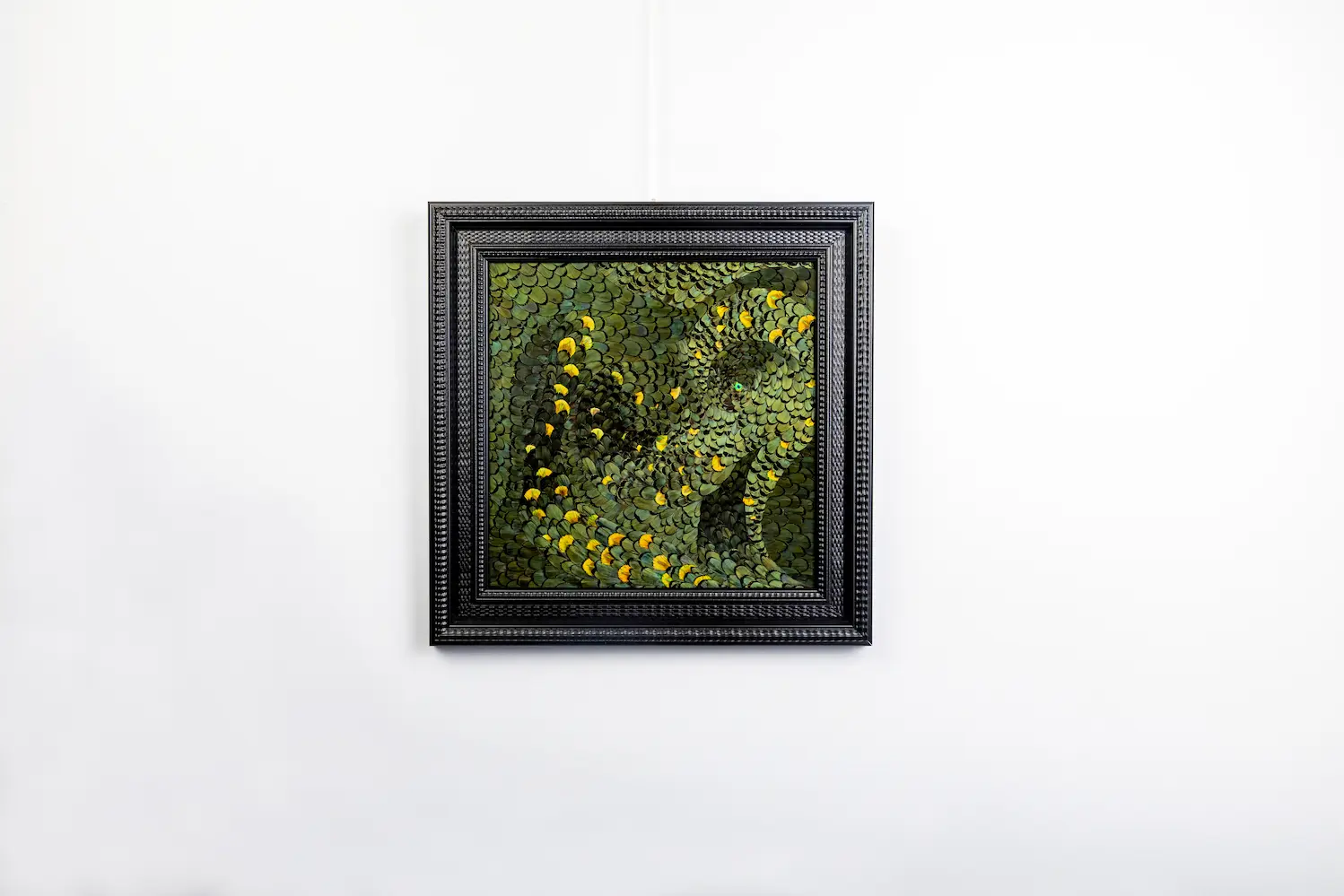 Feather frame L'envol made in feathers LADY AMHERST green pheasant feathers and green PEACOCK feathers