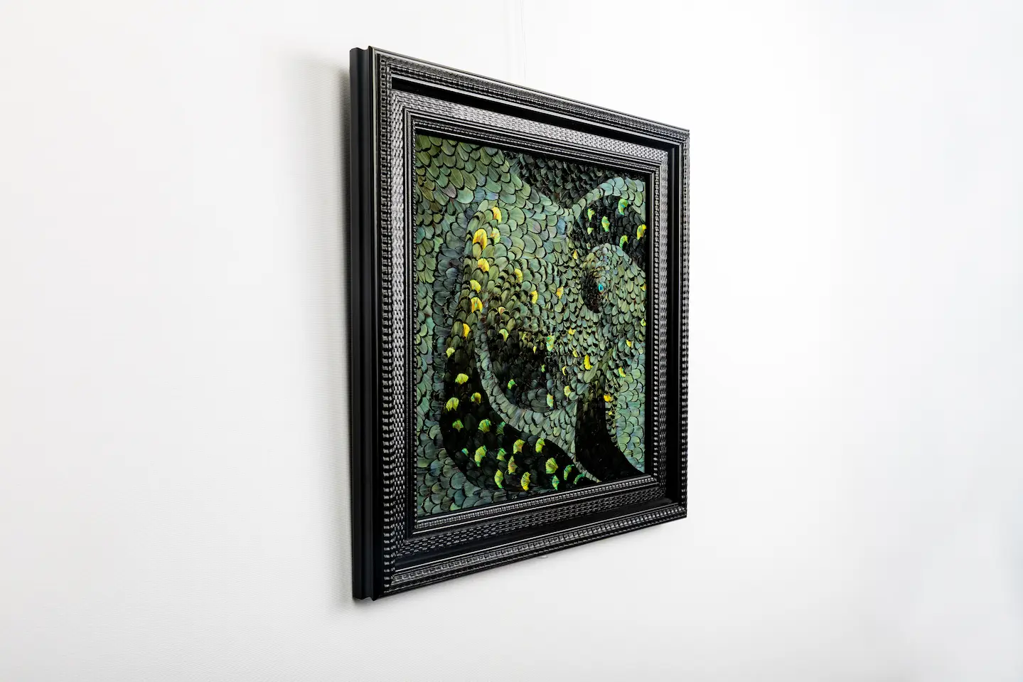 Tableau L'envol en plume plumes de faisan LADY AMHERST vert et PAON vert