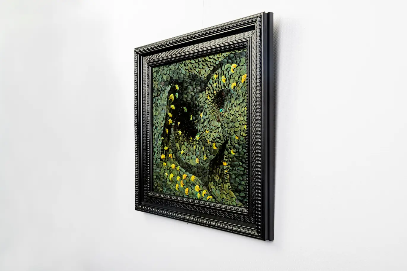 Tableau L'envol en plume plumes de faisan LADY AMHERST vert et PAON vert