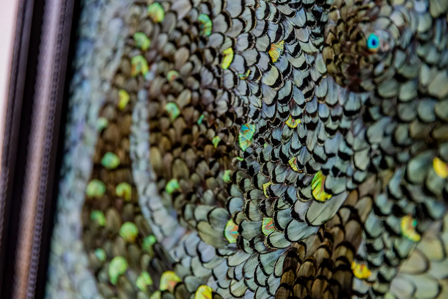 Tableau L'envol en plume plumes de faisan LADY AMHERST vert et PAON vert