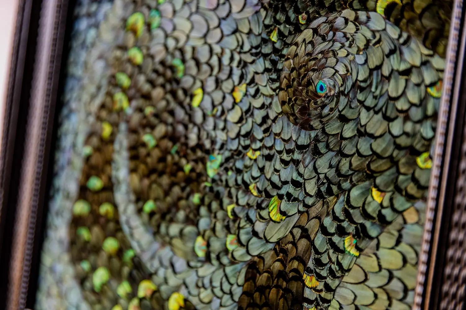 Feather frame L'envol made in feathers LADY AMHERST green pheasant feathers and green PEACOCK feathers