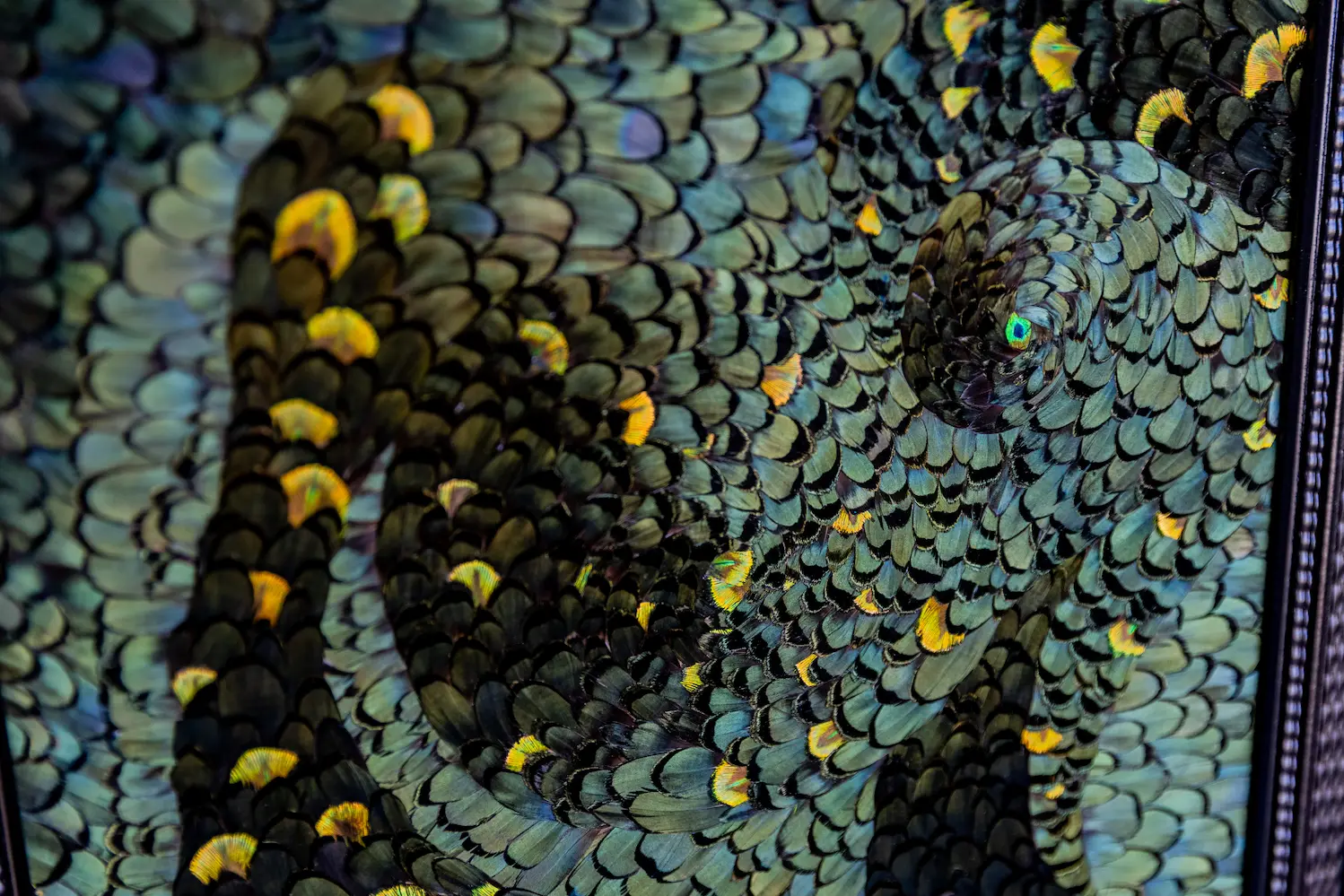 Feather frame L'envol made in feathers LADY AMHERST green pheasant feathers and green PEACOCK feathers